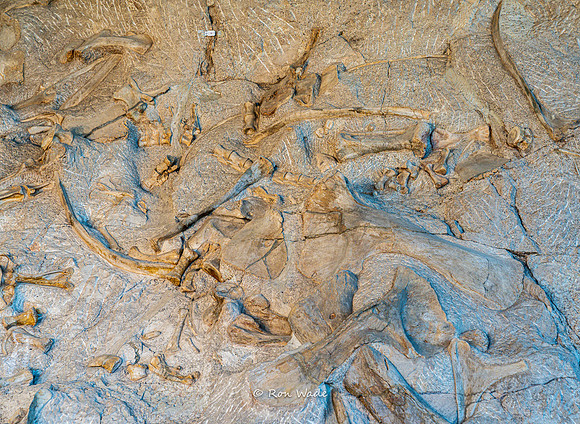 Dinosaur National Monument-6593