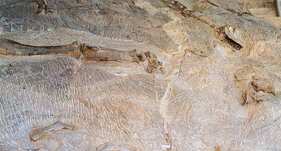 Dinosaur National Monument-6600