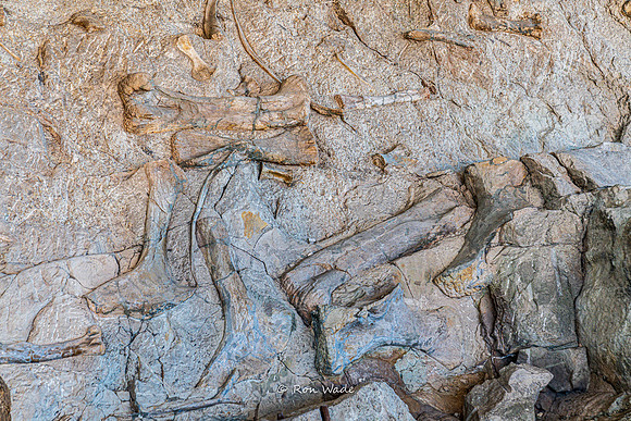 Dinosaur National Monument-6595
