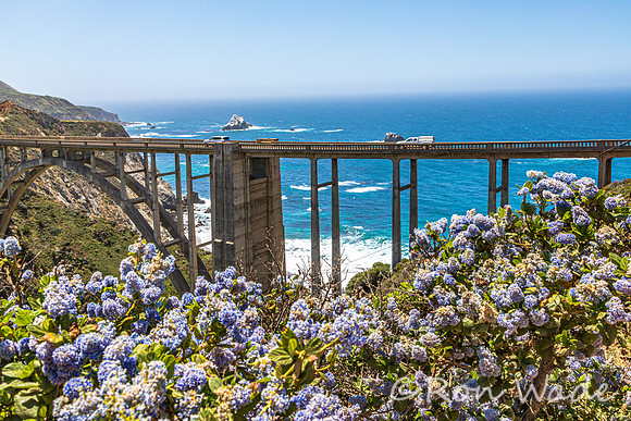 Bixby Creek Bridge, Cabrillo Hwy, Pacific Ocean-5709