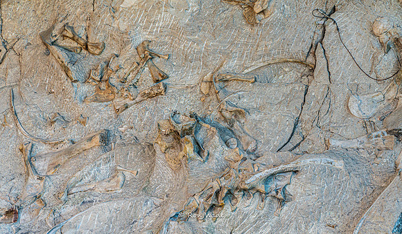 Dinosaur National Monument-6582