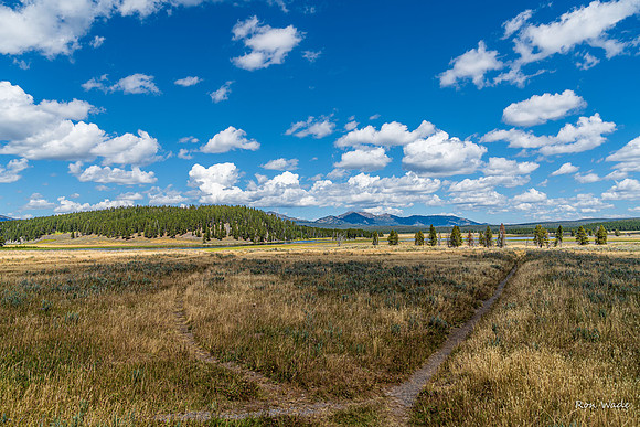 Hayden Valley, Yellowstone River, clouds-5907-2