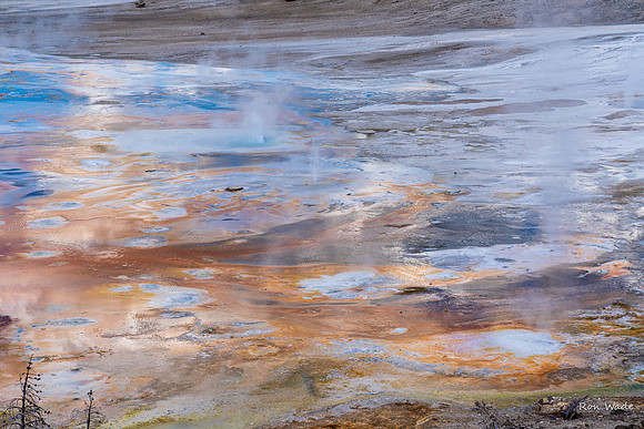 Mini Geysers, Norris Geyser Basin-5925-2