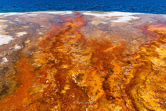 Black Pool, West Thumb, Yellowstone-5837