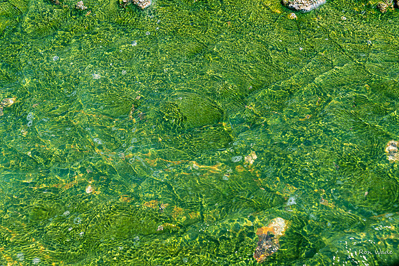 Norris Geyser Basin-5939-2