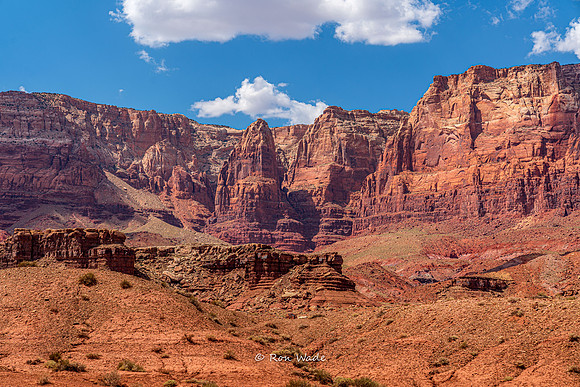 Lee's Ferry, Marble Canyon, AZ--3