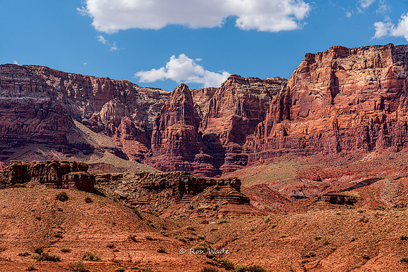 Lee's Ferry, Marble Canyon, AZ--2