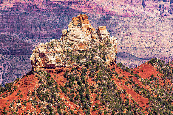 North Rim Grand Canyon-6478-2