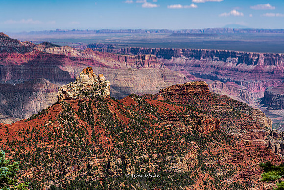 North Rim Grand Canyon-6779-2