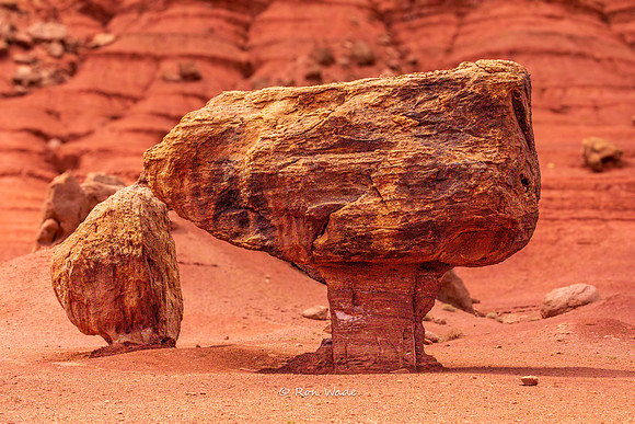boulders, Lee's Ferry, Marble Canyon, AZ-6580-2
