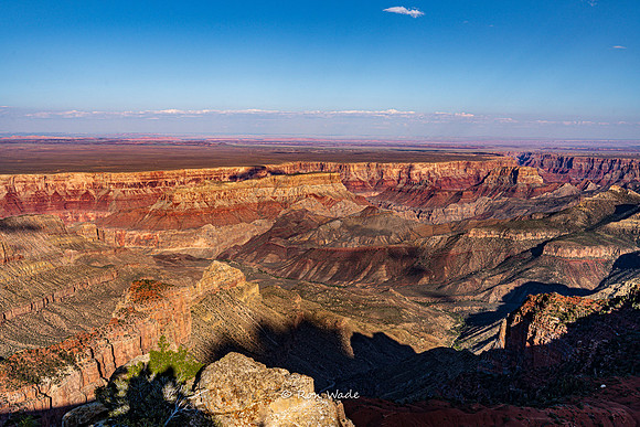 Point Imperial, 8803', North Rim Grand Canyon-6748-2