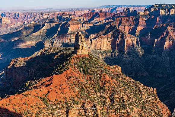 Point Imperial, 8803', North Rim Grand Canyon-6769-HDR-2