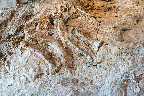 Dinosaur National Monument-6616