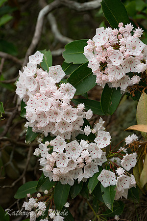 DSC05911