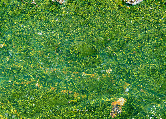 Norris Geyser Basin-5939