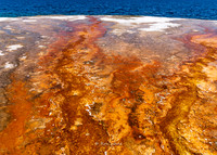 Black Pool, West Thumb, Yellowstone-5837