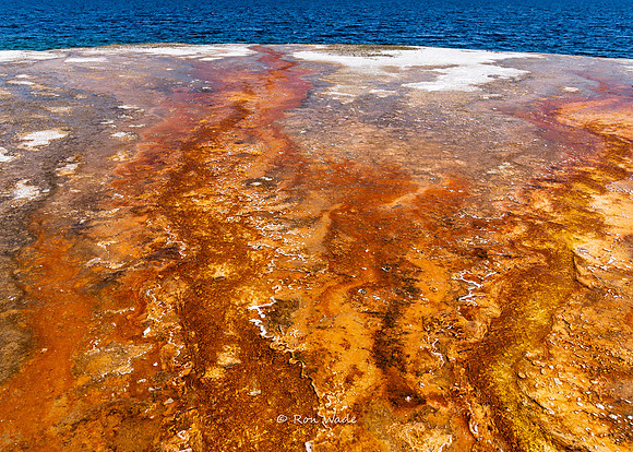Black Pool, West Thumb, Yellowstone-5837