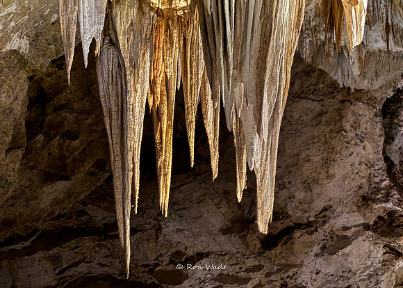 Carlsbad Caverns-4026