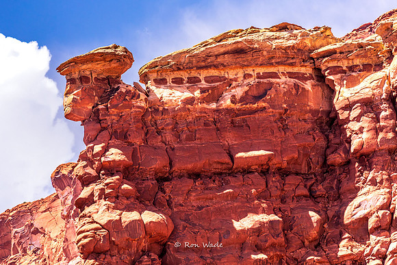 Glen Canyon-8338-3