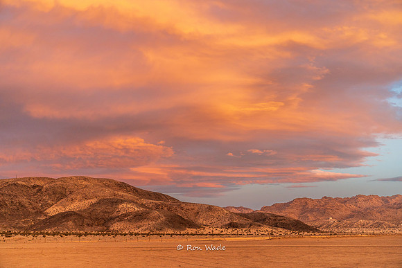 Sunset, Joshua Tree-0867-HDR-2