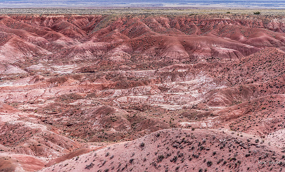 Painted Desert-3683-2