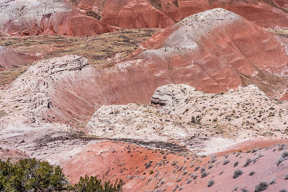 Painted Desert-3695-2