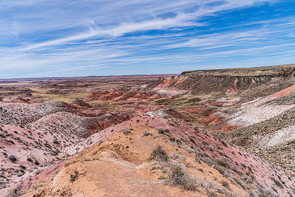 Painted Desert-3710-2