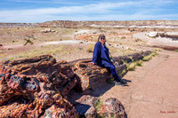 Kat, petrified wood, Petrified Forest National Park-7135-2