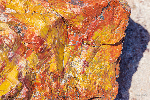 petrified wood, Petrified Forest National Park-7131-2