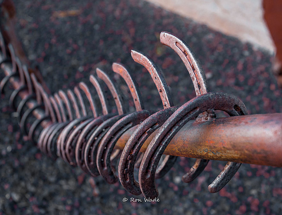 dinosaur sculpture, Route 66, Tucumacari, -3650