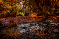 Whitewater Canyon, Catwalk-6703-Edit-2