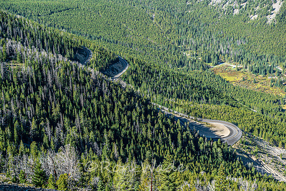 Beartooth Highway, valley view, road -8535