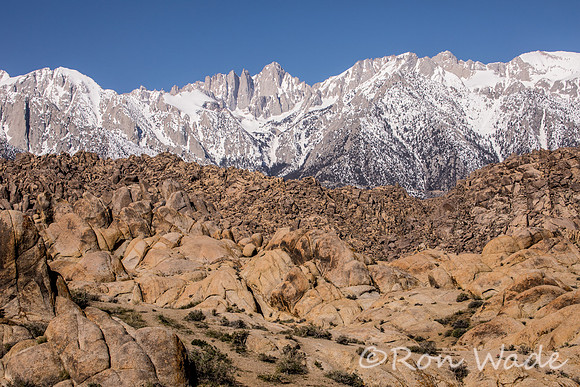 Mount Whitney, campsite, Alabama Hills-5960