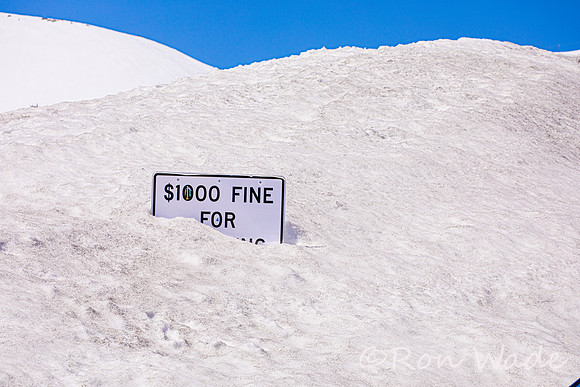 Mammoth, singer, snow-6112