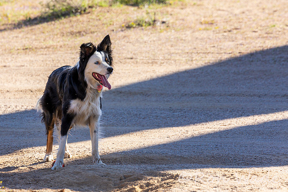 Zack, Lucy, campsite-5781
