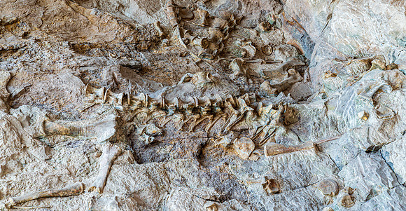 Dinosaur National Monument-6621