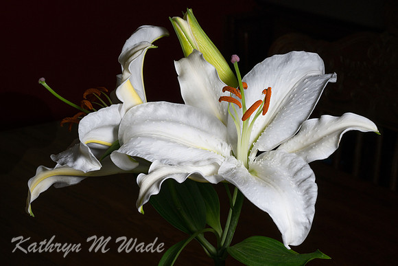 _DSC3571-Edit