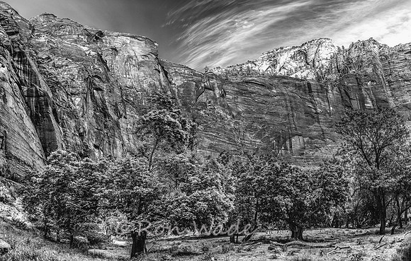 Zion Utah-4799-Pano-2-ps-Edit