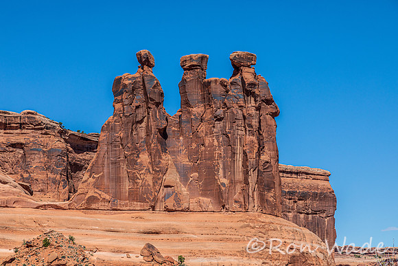 Three Gossips-6402