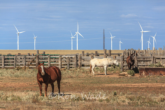 horses, wind turbines,-1750