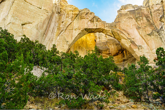 La Ventana Natural Arch-5384-HDR