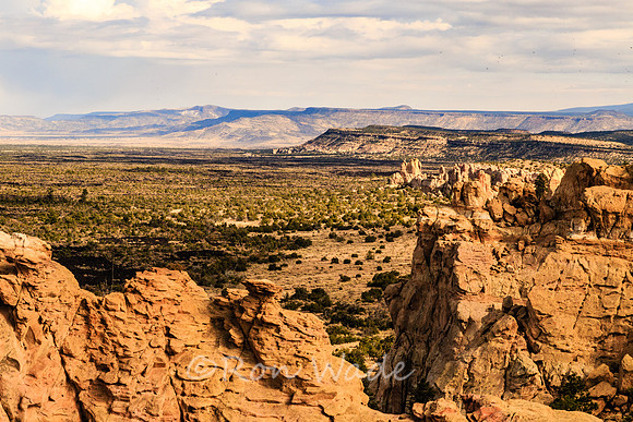 Sandstone Bluffs, El Malpais-5864