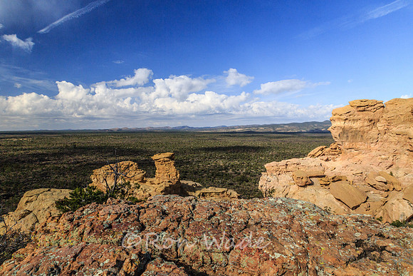 Sandstone Bluffs, El Malpais-5869