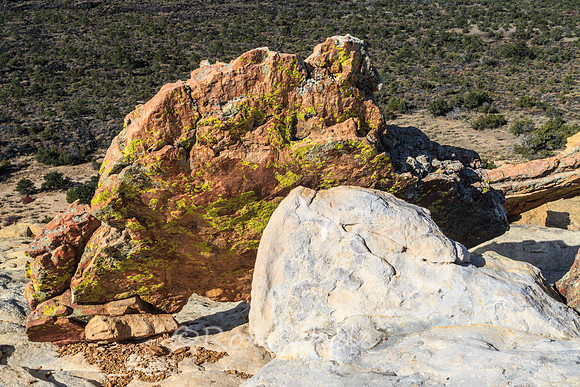 Sandstone Bluffs, El Malpais-5873