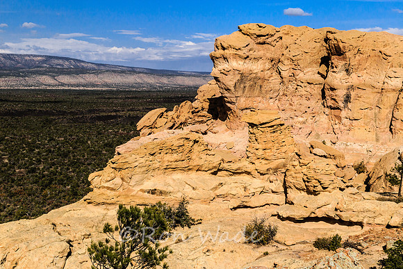 Sandstone Bluffs, El Malpais-5877