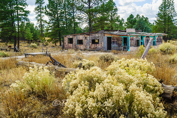 shack-5413ps