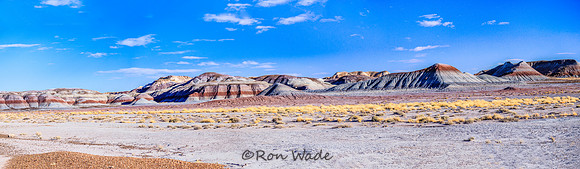Petrified Forest National Park-6194-PanoPS