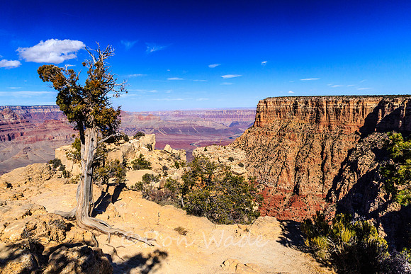 Grand Canyon-6383
