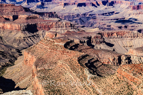 Grand Canyon-6390-2