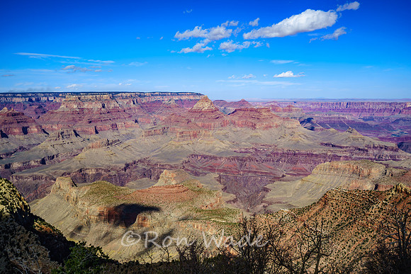 Grand Canyon-6506-HDR